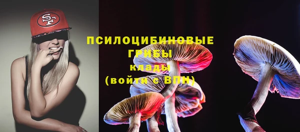 эйфоретик Беломорск