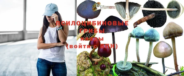 наркотики Баксан