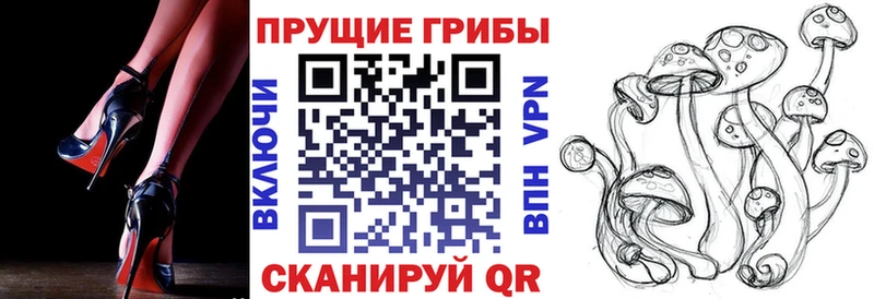 Псилоцибиновые грибы мухоморы Гремячинск